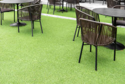 Spring - Meadow Green