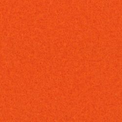 Expocolor 0007 - Orange