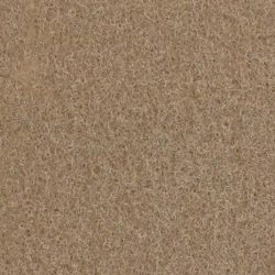 Expocolor 0956 - Buff Coloured