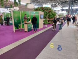 Expocolor 1129 - Prune