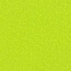Expocolor 1251 - Citronelle Green