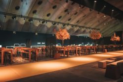Expostyle 9347 - Mandarine