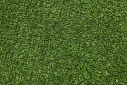 Spring - 0681 - Meadow Green