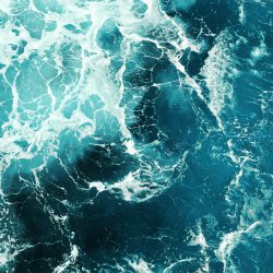 Printed carpet - OCEANDECOR