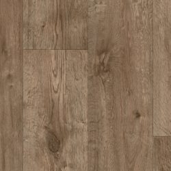 Expowood 2028 - Medium Oak