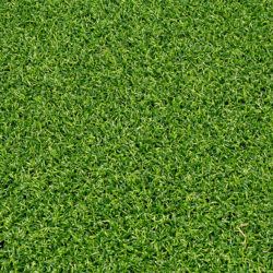 Rubato - Cactus Green